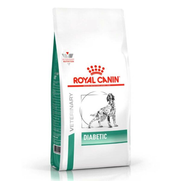 diabetic dog 1.5
