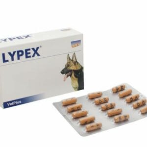 Lypex