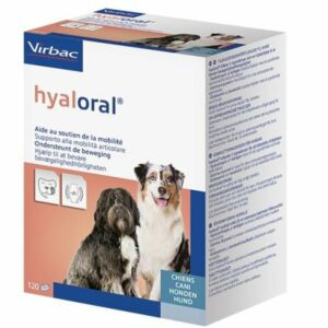 Hyaloral Tabletten 120