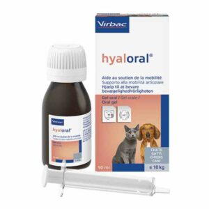 Hyaloral Orales Gel