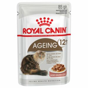 Ageing 12+ in Salsa