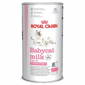 Babycat Milk
