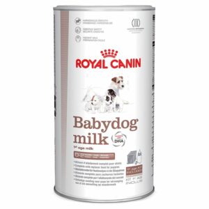 Babydog milk