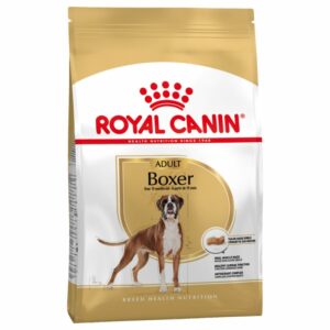 Boxer Adult
