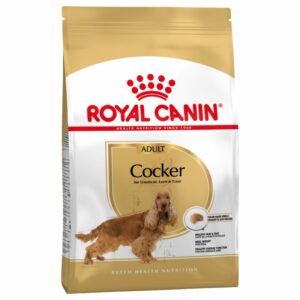 Cocker Adult