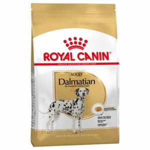 Dalmatian Adult