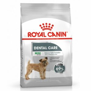 Dental Care Mini