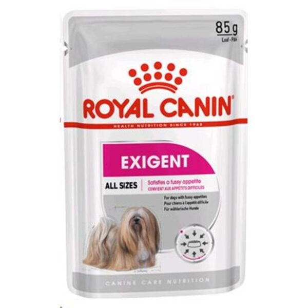 Exigent