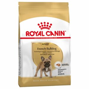 French Bulldog Adult