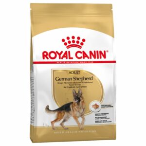 German Shepherd Adult