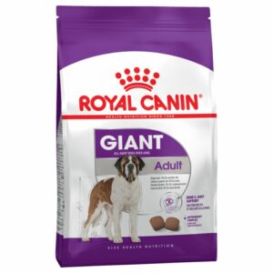 Giant Adult
