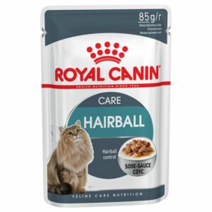 Hairball Care in Salsa