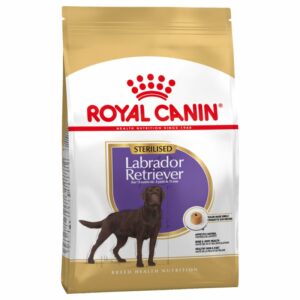 Labrador Sterilised