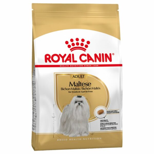 Maltese