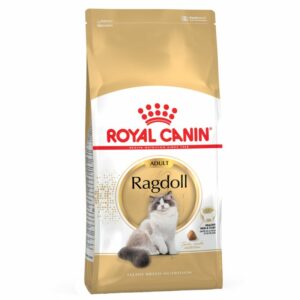 Ragdoll