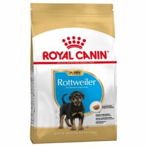 Rottweiler Puppy