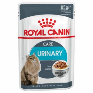 Urinary Care in Salsa