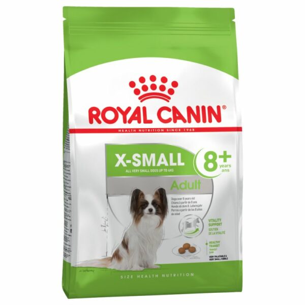 X-Small Adult 8+
