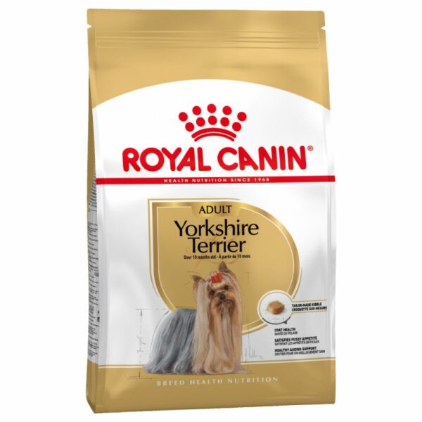 Yorkshire Terrier
