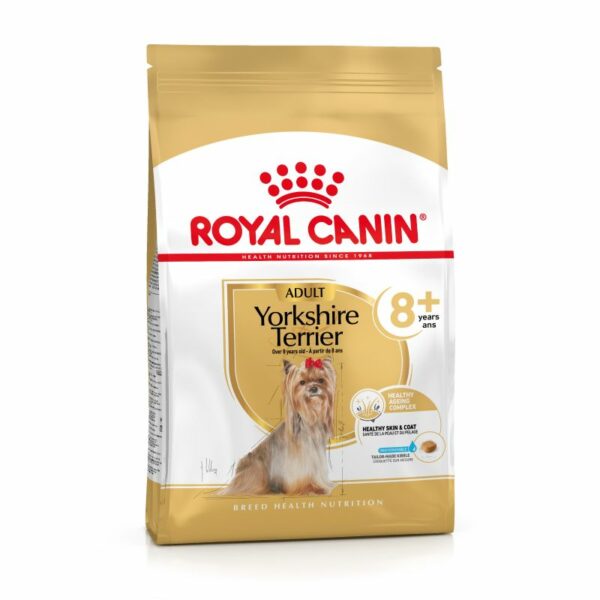 Yorkshire Terrier 8+