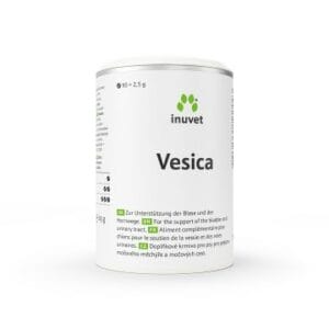 Vesica